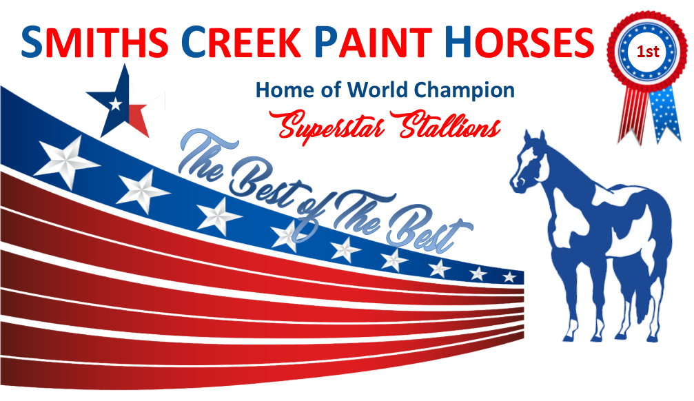 Paint Horse Association of Australia Home